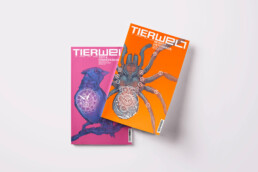 illustration cover graphic design art animals coverart