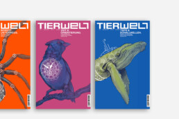 illustration cover graphic design art animal